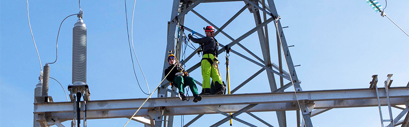Семинар «День мастера»: обеспечение безопасности при выполнении работ на электроустановках