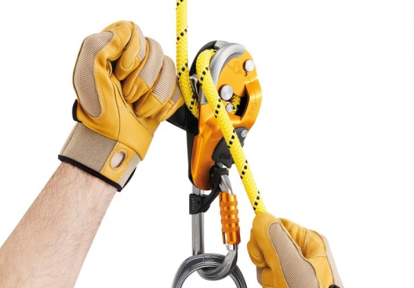 Спусковое устройство Petzl Rig 2018 - купить в интернет-магазине АльпИндустрия-ПРО