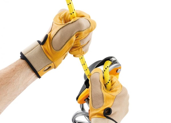Спусковое устройство Petzl Rig 2018 - купить в интернет-магазине АльпИндустрия-ПРО